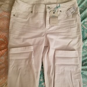 NWT Maurices Jeggings